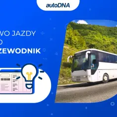 Prawo Jazdy D E: Jak szybko zdobyć prawo jazdy kat D?