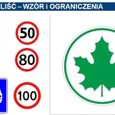 Zielony listek: Gdzie kupić i czemu jest kluczowy dla kierowcy?