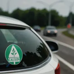 Dlaczego zielony listek jest tak ważny? Nowi kierowcy, uważajcie!