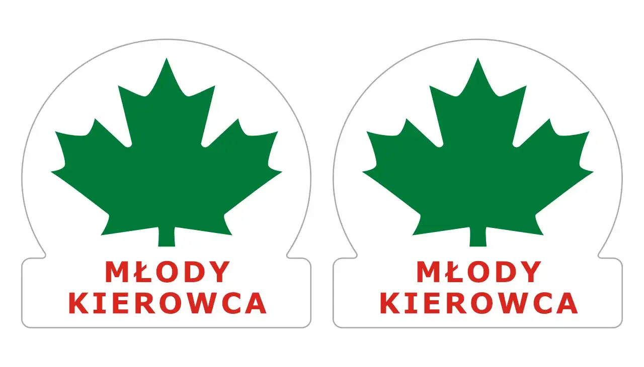Zdjęcie Gdzie kupić zielony liść kierowcy? Sprawdź najlepsze oferty i ceny