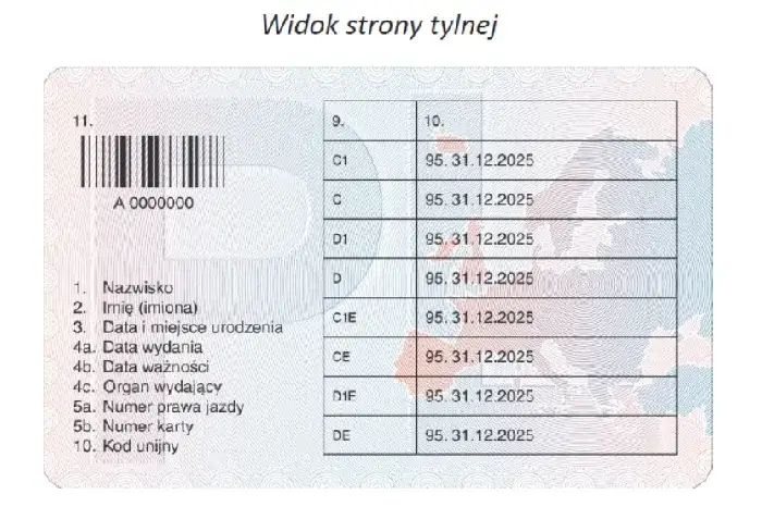 Zdjęcie Jak uzyskać profil kierowcy - co trzeba wiedzieć, aby uniknąć problemów